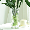 欧式创意大号玻璃花瓶，透明水培富贵竹，百合郁金香客厅餐桌插花摆件