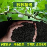 厂纯蚕砂枕蚕沙枕头蚕屎枕头，颈椎护颈枕，睡眠婴儿定型枕蚕沙护新