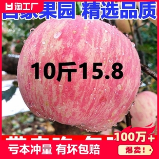 陕西洛川苹果水果，新鲜当季红富士冰糖心，丑苹果整箱10斤尝鲜