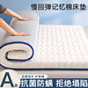抗菌床垫软垫家用宿舍学生，单人加厚可折叠榻榻米垫被褥子租房专用