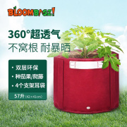 bloombagz57升西红柿辣椒种植袋家庭，阳台茄果蔬菜种植套装大号种