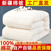 新疆长绒棉被一级棉花被芯，加厚保暖纯正棉絮，床垫被褥子冬手工棉胎