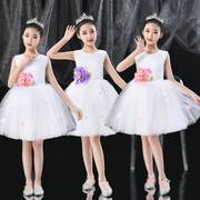 六一女童礼服白纱裙(白纱裙，)幼儿园主持人，演出服蓬蓬裙幼儿童合唱服装