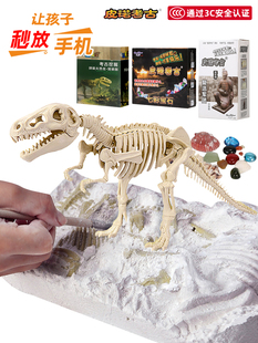 皮诺考古恐龙化石霸王龙骨架模型，手工拼装挖掘兵马俑原石儿童玩具