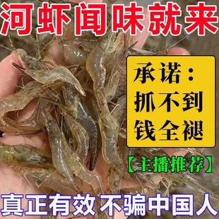 河虾饵料强力诱食剂江河，湖泊池塘沟渠，捕河虾四季诱虾专用爆笼