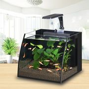 鱼缸迷你家用小型客厅玻璃，创意桌面生态，几何鱼缸懒人水族箱乌龟缸
