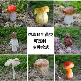 仿真云南野生蘑菇模型野生菌姬松茸假蘑菇羊肚菌猴头菇摆件可定制