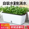 家庭阳台种菜盆种菜神器懒人，花盆自动吸水长方形塑料蔬菜种植箱