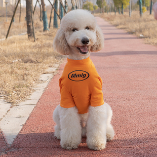 潮牌大型犬衣服夏季薄拉布拉多金毛萨摩耶巨贵防掉毛宠物大狗衣服