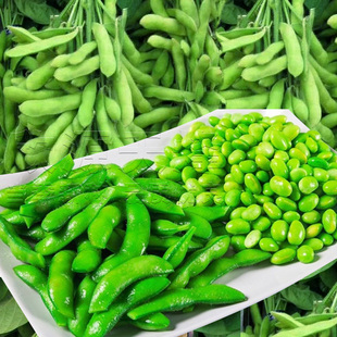 高产大荚绿宝石毛豆种子东北铁岭青绿大菜豆种籽早熟春季蔬菜种孑