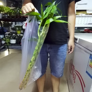 塑料袋鲜花鱿鱼食品，打包方便袋加长加厚背心袋，手提袋白色透明袋子