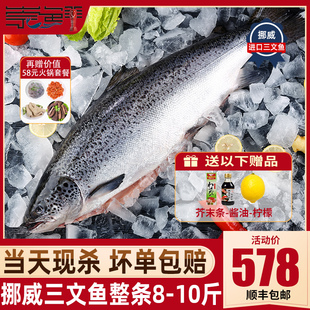 挪威进口冰鲜三文鱼8-10斤新鲜整条进口三文鱼中段刺身即食海鲜