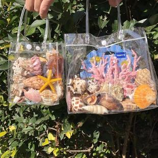 天然贝壳海螺礼盒套餐，仿真珊瑚鱼缸，水族造景儿童玩具礼物创意