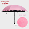 户外三折女士遮阳伞创意黑胶，遇水开花晴雨伞，8骨广告伞
