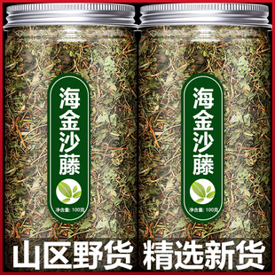 海金沙藤野生新鲜茶中药材海金沙，草泡水排化结石粉小叶绿茶
