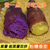新鲜紫薯地瓜板栗红薯，混搭农家自产基地直发，粉糯香甜现挖沙地蔬菜