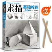 经典全集 素描零基础初自学入门教程材书籍者铅笔手绘画画册本从单个体石膏几何体成人美术的诀窍临摹范本到精通套人物考级杨建飞