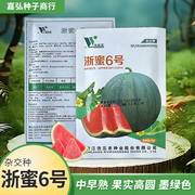 浙蜜6号西瓜种子5g25g中早熟瓤色红口感好耐贮高产量(高产量)鲜甜多汁