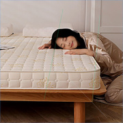 床垫软垫加厚家用睡垫1.5米宿舍单人1.2m海绵垫褥子双人1.8床垫子
