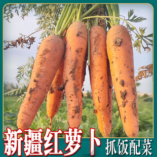红萝卜新鲜新疆胡萝卜手抓饭专用宝宝辅食新鲜蔬菜萝卜