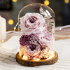 情人节玻璃罩成品玫瑰礼物保鲜永生花礼盒色系浅粉绿香芋活力金色