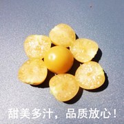 2斤东北特产甜菇娘果水果新鲜黄姑娘果灯笼果黄菇茑鸟