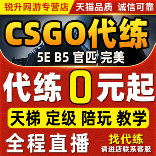 csgo陪玩陪练代练教学完美世界，5e天梯上分定级赛官匹段位等级胜场