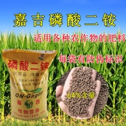 磷酸二胺化肥高含量高浓度复合肥料蔬菜花卉果树通用型二铵肥料