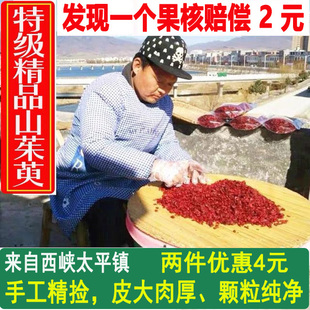 中药材西峡野生山茱萸山萸肉山茱萸粉无核，枣皮干货250克