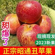 云南昭通市丑苹果现摘当季野生冰，糖心孕妇水果新鲜10斤整箱红富士