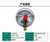 上海名宇ynxc100耐震电，接点压力表上下限，控制器水压力开关气油压