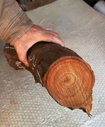樟木块 纯天然香樟木 风化木 土沉  老料 树根 摆件 防蛀防虫剂