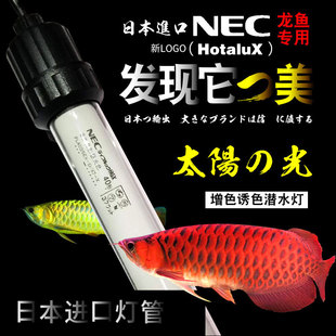 日本NEC潜水龙鱼灯防水6700kT8三基色鱼缸灯管水族金龙鱼增色专用