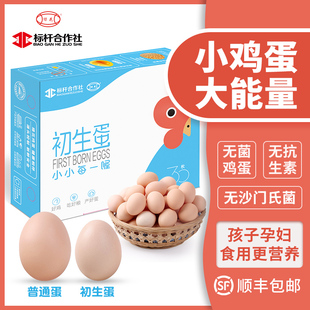 绿花初生蛋30枚礼盒包装小鸡蛋新鲜宝宝初产健身婴儿无菌鸡蛋