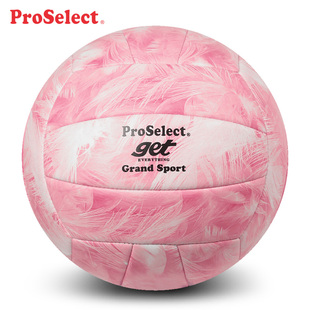 ProSelect专选排球火烈鸟粉色系列学生中考排球训练比赛硬排5号