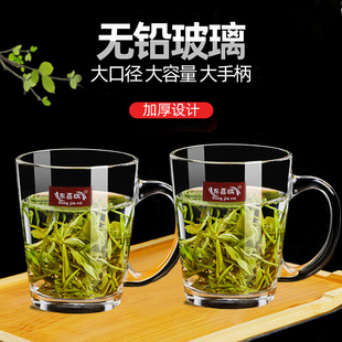 带把家用泡茶杯玻璃杯子套装无色透明啤酒杯加厚时尚无铅玻璃茶杯