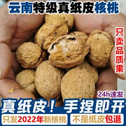 2023新货正宗云南纸皮核桃，5斤水果千年老树，手捏即开野生核桃