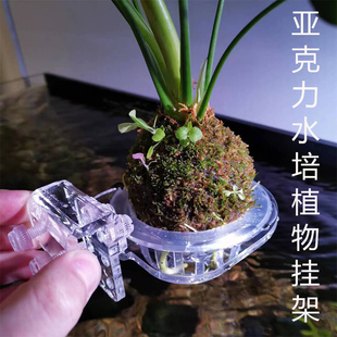 鱼缸水培植物挂篮支架，托架高度可调节水族造景植物水草