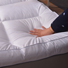 超柔软床垫子软垫，家用铺床褥子1米5垫被，加厚10cm五星级酒店卧室