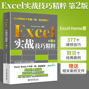 excel教程书 Excel实战技巧精粹第2版 office excel办公软件从入门到精通函数公式大全教材电子表格制作零基础自学书电脑办公应用