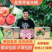 北京平谷大桃水蜜桃，软脆甜久保桃子，新鲜水果毛桃果园采摘