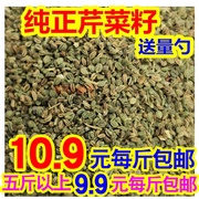 天然纯真芹菜籽芹，菜子芹菜籽颗粒，10.9元500克免费磨粉泡茶