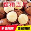 (新疆西藏)低于价新货夏威夷果奶油味500g含罐坚果干果。