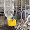 鸽子小鸟饮水器食盒鸽子笼挂盒饮料瓶自动饮水器喂水器挂式料盒