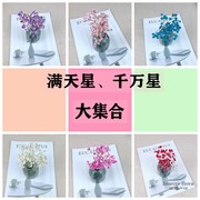 永生花千万星/满天星装饰保鲜花勿忘我点缀配材DIY花材