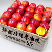 珍珠枣油桃5斤脆甜枣味小桃子，孕妇水果早桃纯甜新鲜枣桃整箱9