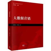 书大数据营销数字营销系列丛书洪杰文归伟夏科学出版社9787030597908kx