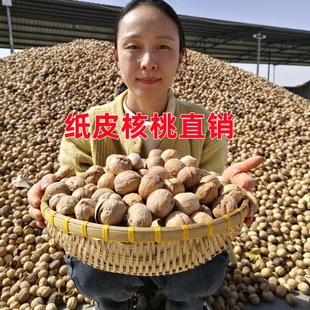 新疆阿克苏185纸皮核桃2023新货原味无添加孕妇专用薄皮熟核桃生