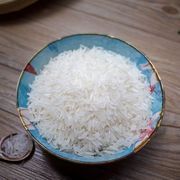 2023广西新米象牙香丝米农家大米稻10斤清香营养米袋装米