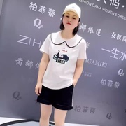 女权贵族2024夏款3121拼接娃娃领减龄短袖可爱猫咪遮肉显瘦T恤衫